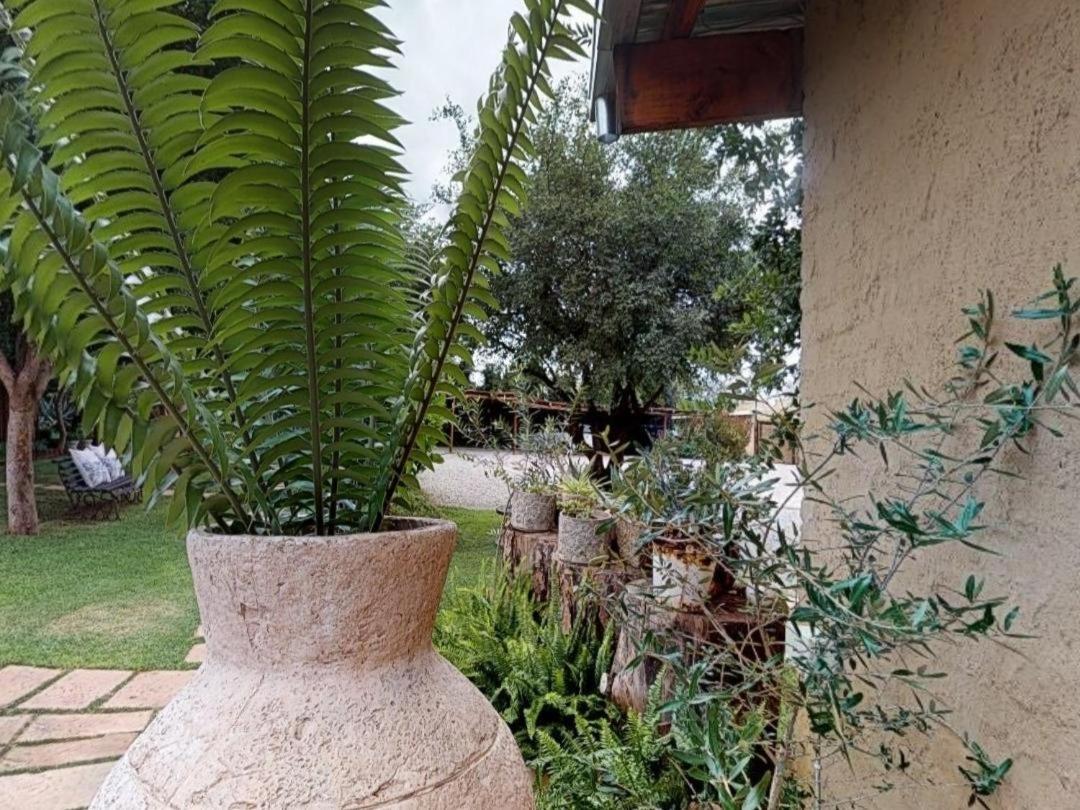 Cradle Valley Boutique Guesthouse Muldersdrift Ngoại thất bức ảnh