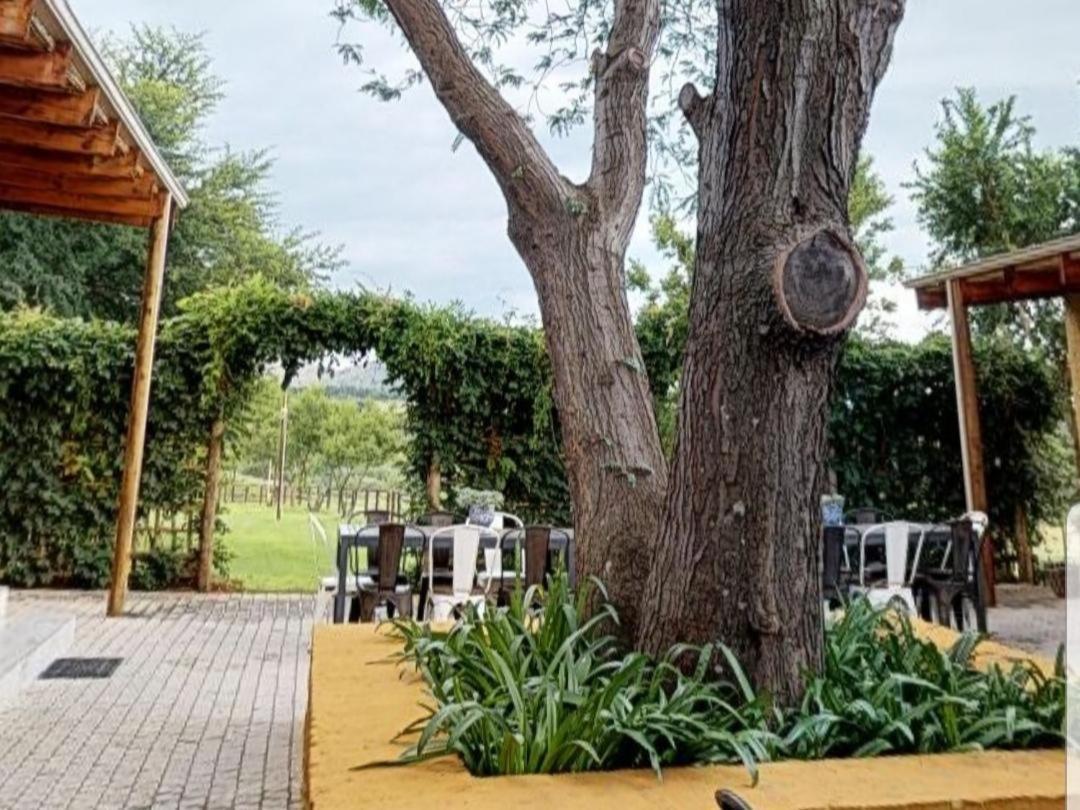 Cradle Valley Boutique Guesthouse Muldersdrift Ngoại thất bức ảnh