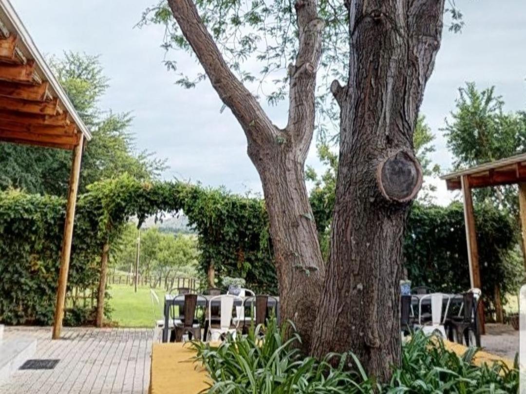Cradle Valley Boutique Guesthouse Muldersdrift Ngoại thất bức ảnh